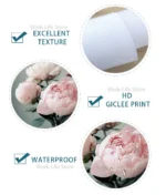 Golden Abstract Deer Feather Canvas Art Luxury Geometric Leaf Wall Decor for Living Room and Porch - Image 5